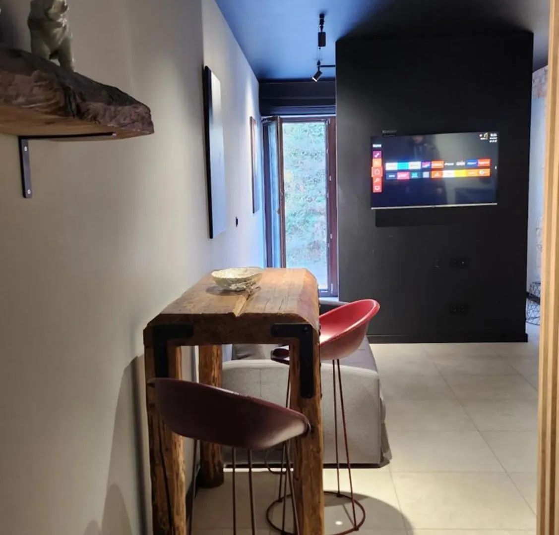 Loft Vistula Old Town Apartament Free Parking Krakow Apartment